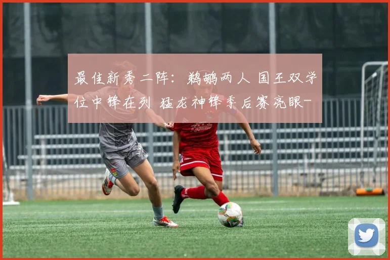 最佳新秀二阵:鹈鹕两人 国王双学位中锋在列 猛龙神锋季后赛亮眼