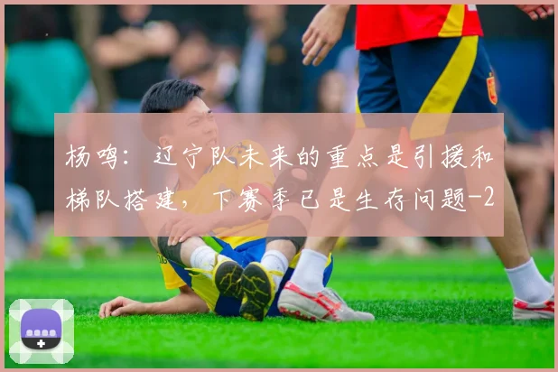 杨鸣：辽宁队未来的重点是引援和梯队搭建，下赛季已是生存问题