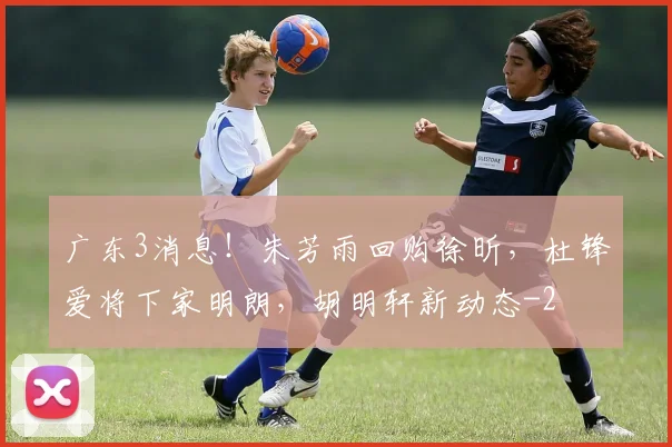 广东3消息!朱芳雨回购徐昕,杜锋爱将下家明朗,胡明轩新动态