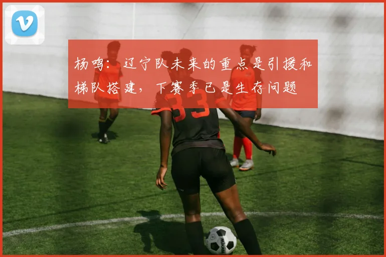 杨鸣：辽宁队未来的重点是引援和梯队搭建，下赛季已是生存问题