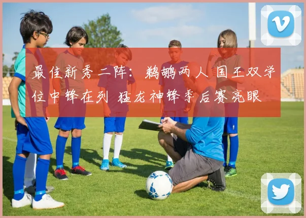 最佳新秀二阵：鹈鹕两人 国王双学位中锋在列 猛龙神锋季后赛亮眼